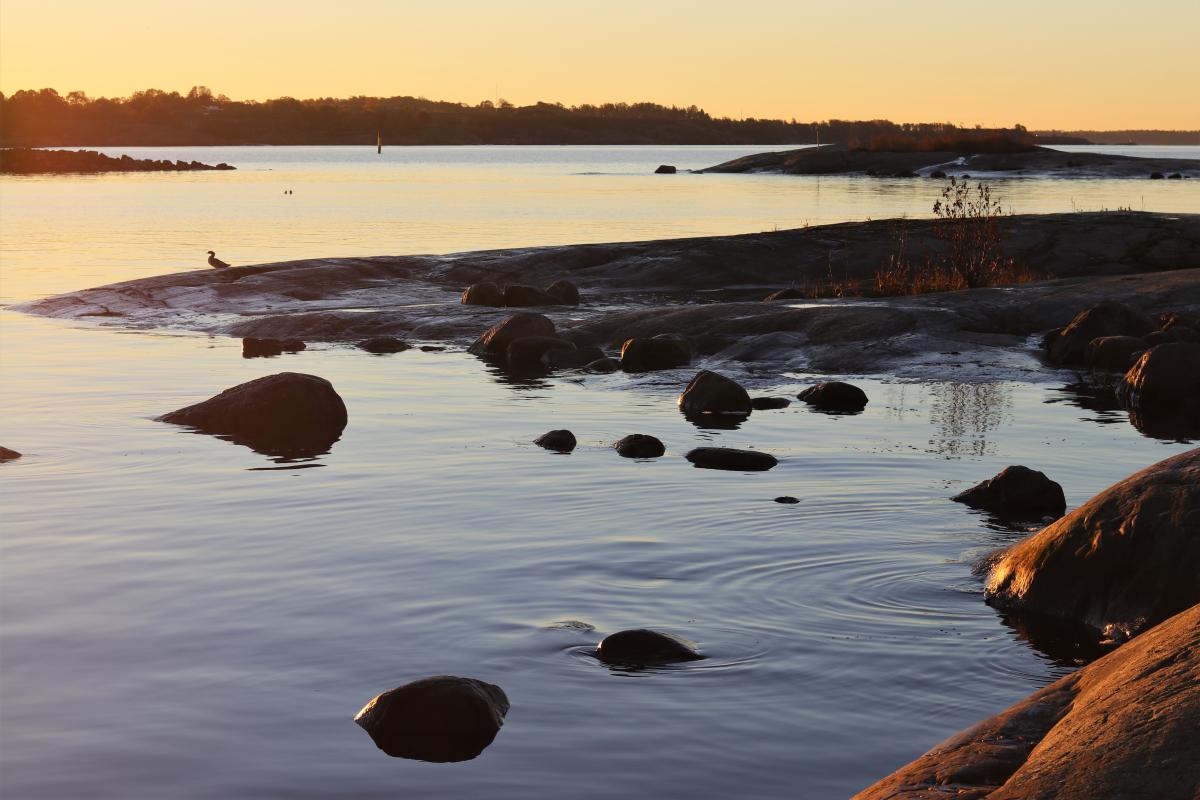 Kaupungin hulina jää mantereelle. Harakan saari on aivan Helsingin kantakaupungin vieressä, mutta silti omassa rauhassa. Kuva Marianne Saviaho/Helsingin kaupunki